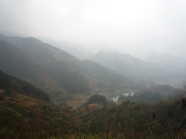 2011051722022.jpg