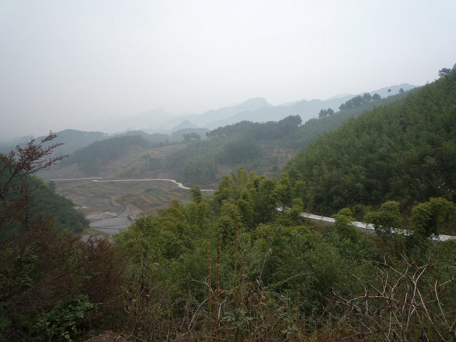 2011051722025.jpg