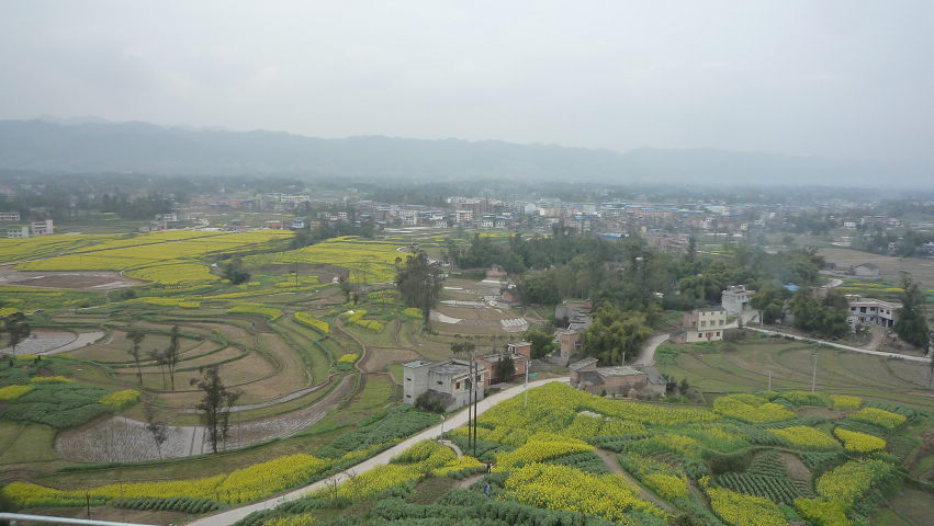 2011051722027.jpg