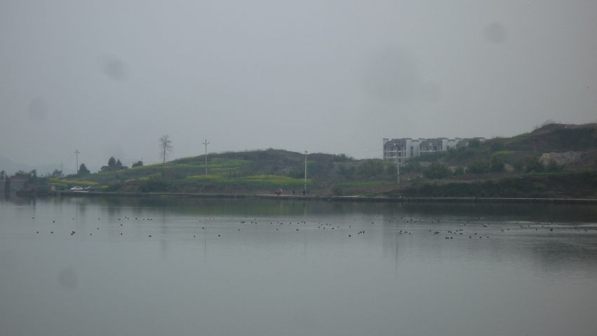 2011051722003.jpg