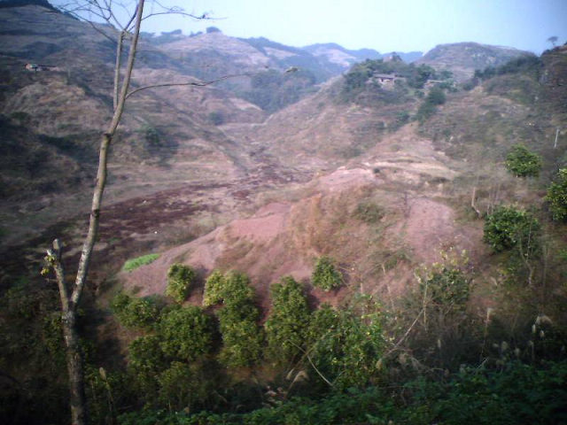 2011051722009.jpg