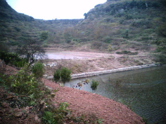 2011051722006.jpg