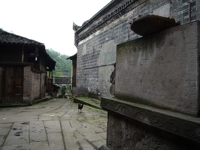 2011051722030.jpg