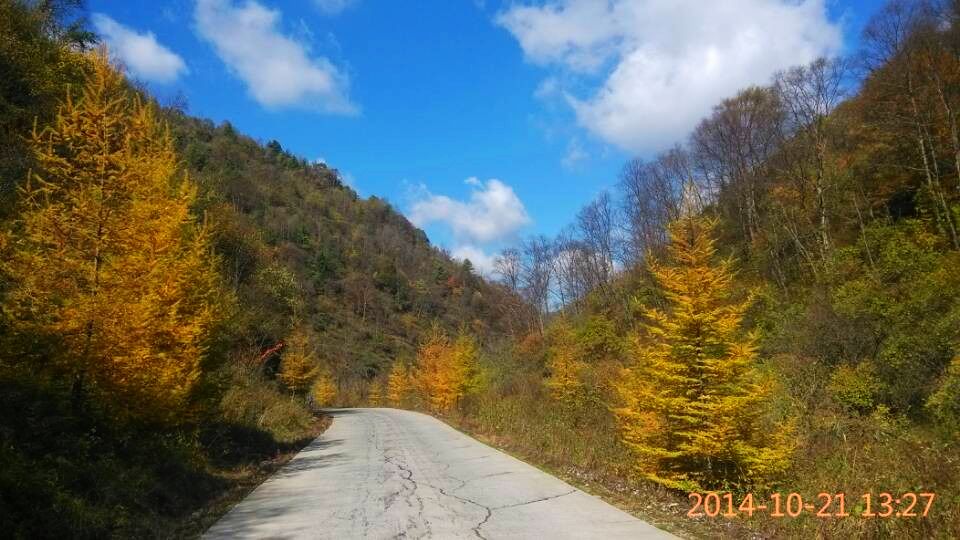 QQ图片20141021211048.jpg