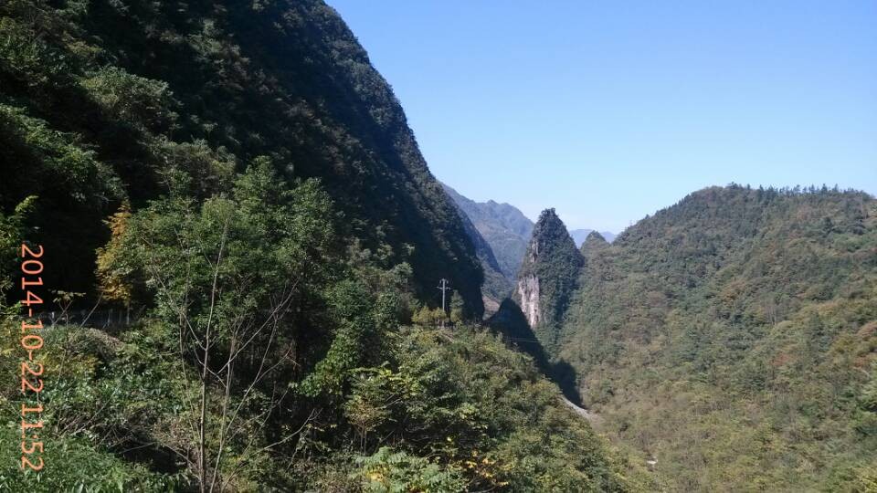 QQ图片20141022192525.jpg
