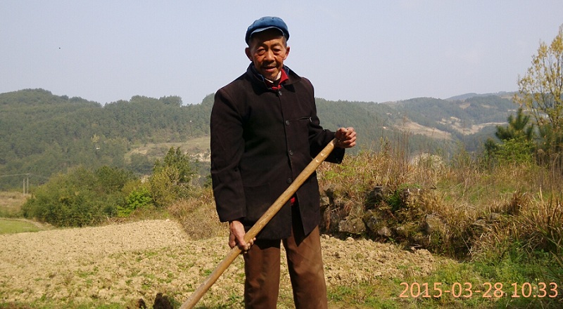 大山里78岁的老人还在挖土种菜