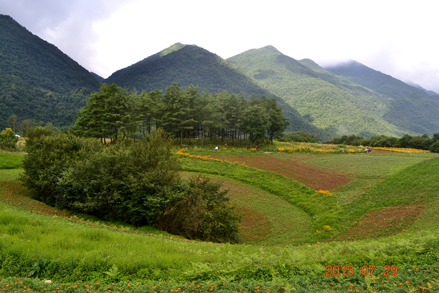 DSC_0294.JPG