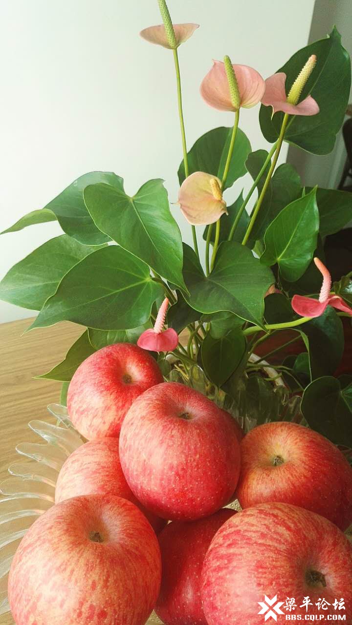 原创 千秋园暖心小故事系列之--父母之爱,天下