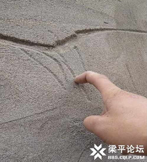 软文6图片1.jpg