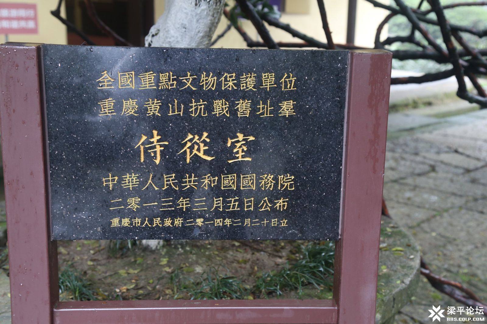 81.JPG