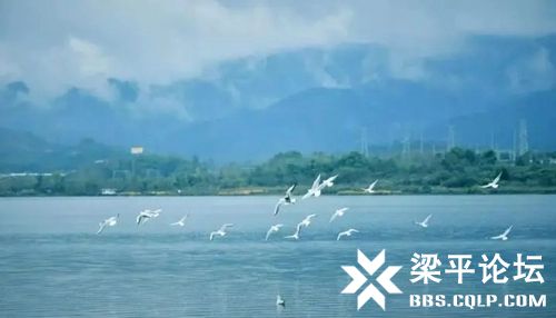 双桂湖3.jpg
