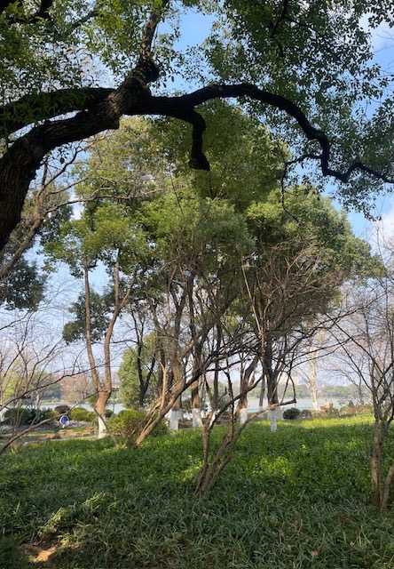 IMG_9781.jpeg