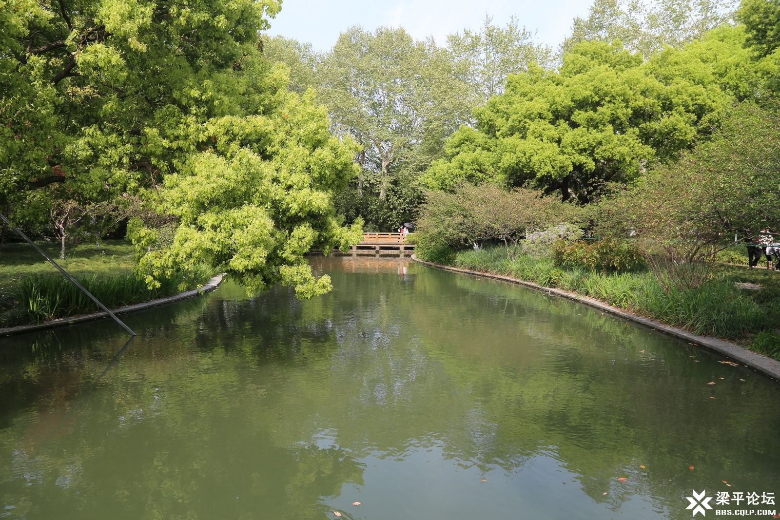 IMG_5861.JPG