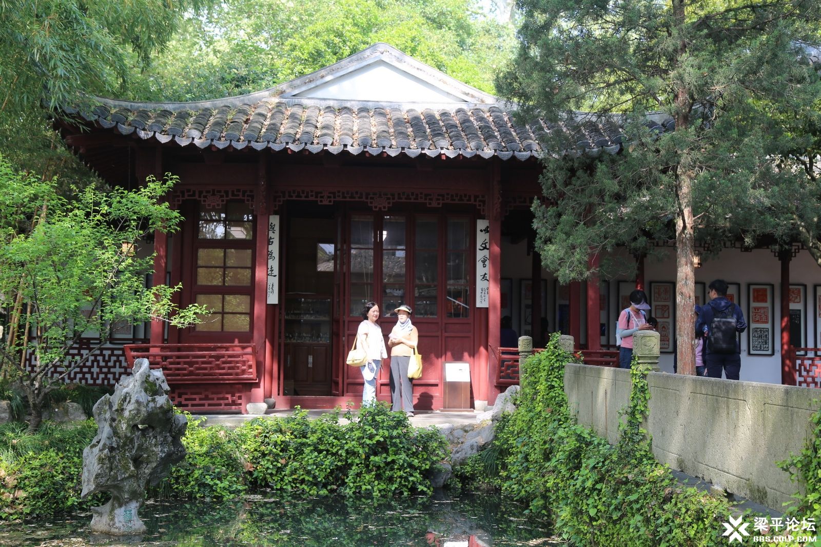 IMG_6551.JPG