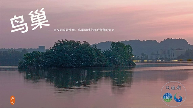 双桂湖鸟巢.jpg