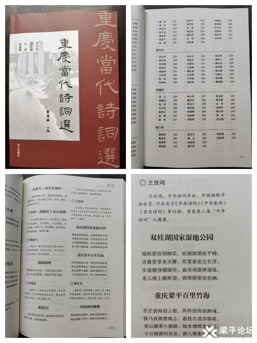 《重庆当代诗词选》.jpg